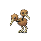 doduo