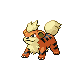 growlithe