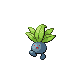 oddish