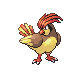 pidgeotto