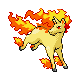 rapidash