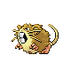 raticate