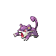 rattata