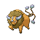 tauros