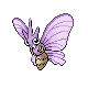 venomoth