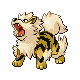 arcanine