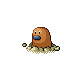 diglett