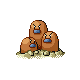 dugtrio