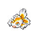 goldeen
