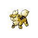 growlithe