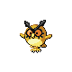 hoothoot