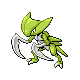 kabutops