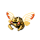 ninjask