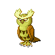 noctowl