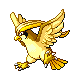 pidgeot