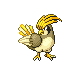pidgeotto