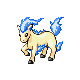 ponyta