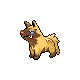 poochyena