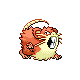 raticate