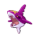 sharpedo