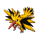 zapdos
