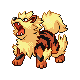 arcanine