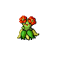 bellossom