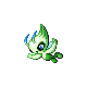 celebi