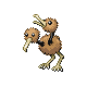 doduo