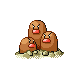 dugtrio