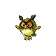 hoothoot