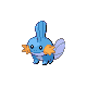 mudkip