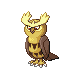 noctowl