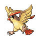 pidgeot