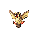pidgey