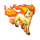 rapidash