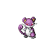 rattata