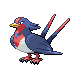 swellow
