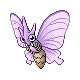 venomoth