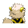 arcanine