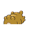 bidoof f