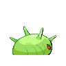 cascoon