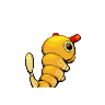 caterpie