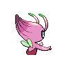 celebi