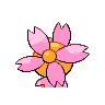 cherrim sunshine