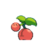cherubi