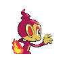 chimchar