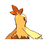 combusken f