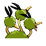 dodrio f
