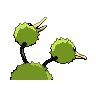 doduo